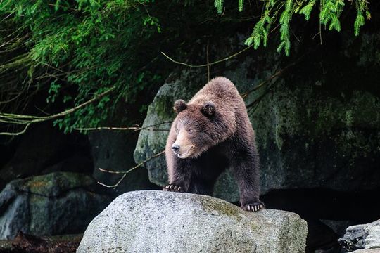Chilkoot Lake Kayaing - Departing from Haines.