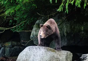 Chilkoot Lake Kayaking - Departing From Skagway