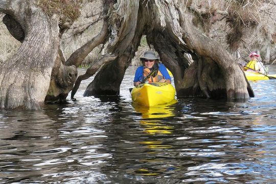 3 Hour Small Group Lake Norris Kayak Activity