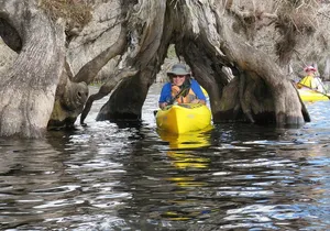 3 Hour Small Group Lake Norris Kayak Activity