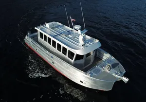 3.5 Hour Crowd-Skipping Whale Tour in Juneau, Alaska