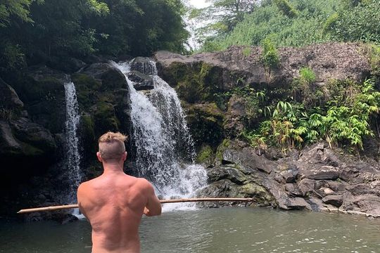 Full-Day Road to Hana and Waterfall Tour