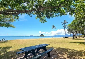 Oahu Island Sightseeing and Food Combo Tour