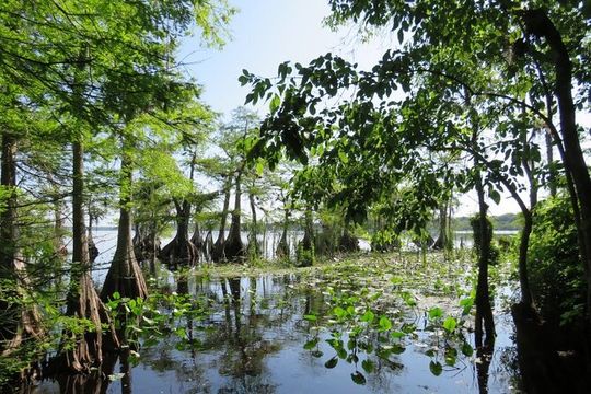 3 Hour Small Group Lake Norris Kayak Activity