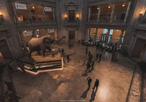 Two Smithsonian Museums Private Tour: American & Natural History