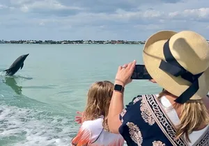 Best of Marco Island Dolphin Tour
