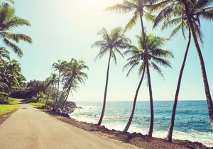 Hire Photographer. Professional Photo Shoot - Island Of Hawaii