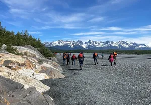 Glacier Point Wilderness Safari