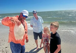 Island Paradise: Dolphin, Shelling, Birding Eco Boat Tour