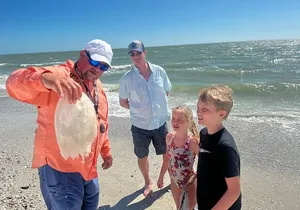 Island Paradise: Dolphin, Shelling, Birding Eco Boat Tour