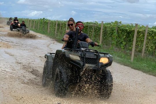 1-Hour 4-Seater UTV Tours