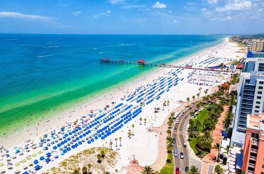 Orlando: Clearwater Beach, Dolphin Cruise Small Group Max 14 Tour