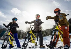 Ski Bike Rental in South Lake Tahoe