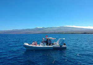 Private Big Island Snorkeling