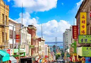 Warrior Cat of Chinatown: Self-Guided Quest in San Francisco