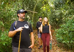 Hike Honolua Ridgeline