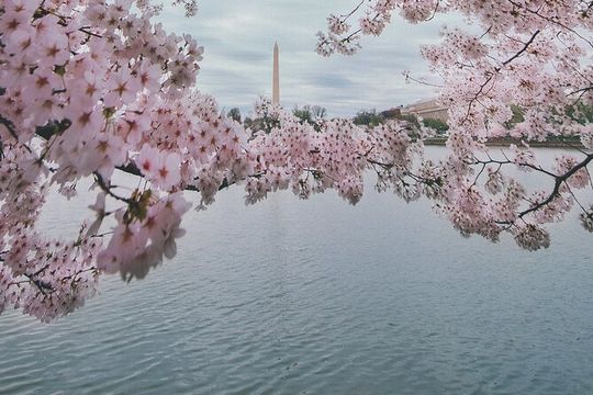 Washington DC Private Guided Bus Day Tour with Step Off Guide