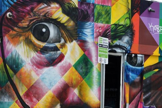 Miami Small Group Premium Tour With Everglades Airboat Ride