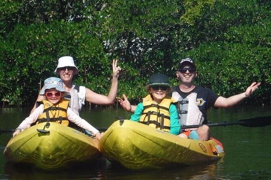 Guided Kayak Dolphin Eco Tour in Pelican Bay