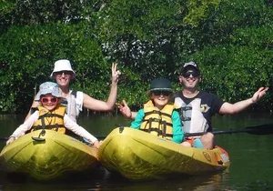 Guided Kayak Dolphin Eco Tour in Pelican Bay