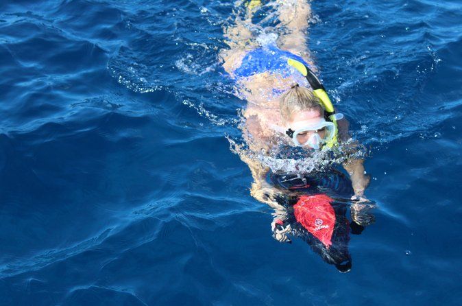 Private Charter Snorkeling with 6 Sea Scooters 3 hours 1 stop