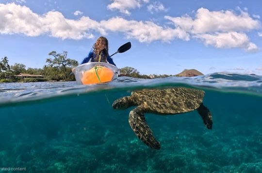 Turtle Town Clear Kayak & Snorkel Tour - Free Photos Included