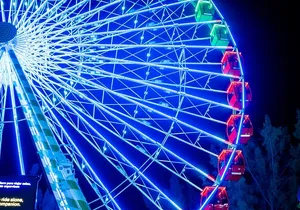 Miami Small-Group Night Tour with Skyview Wheel