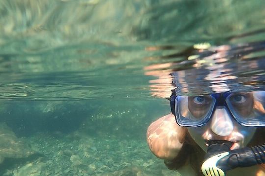 Destin Private Catamaran and Snorkeling Tour 3 or 4hrs