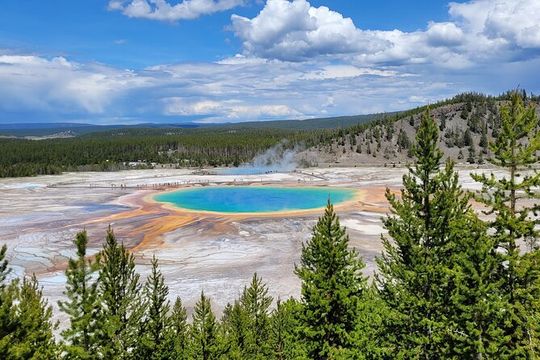 Full-Day Guided Yellowstone Day Tour