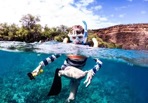 Kaimana Kealakekua Bay Captain Cook Adventure