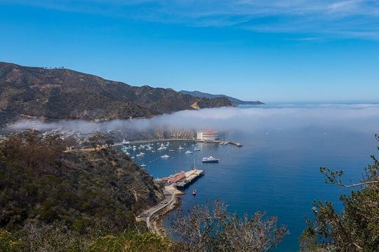 Catalina Island 2-Hour Insider Adventure Tour