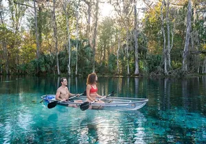 Silver Springs: Clear Kayak Wildlife Adventure