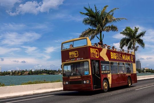 Miami Combo: Open-top Bus Tour and Sightseeing Bay Cruise