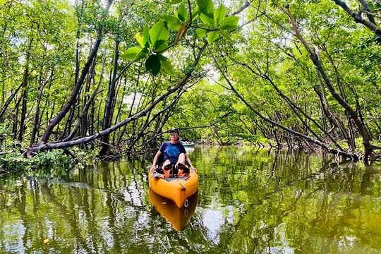 Exclusive Relax & Explore Pedal Kayak Tour Marco Island & Naples