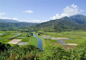 Cruise Ship Shore Excursion: Kauai Movie Sites Tour