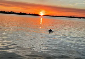 Adventure Boat Tours - Sunset Water Tour in St. Augustine