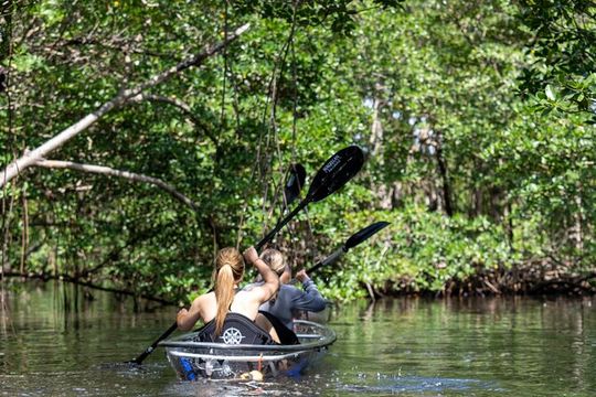 Clear Kayak Tour in North Miami Beach - Mangrove Tunnels