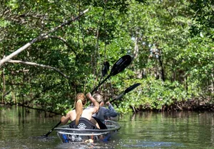 Clear Kayak Tour in North Miami Beach - Mangrove Tunnels