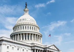 Mount Vernon, Washington D.C, U.S Capitol Small Group Day Tour