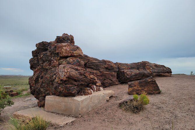 Sedona to Petrified Forest/Painted Desert Adventure PRIVATE TOUR!
