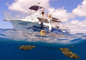 Waikiki Turtle Canyon Snorkeling Tour with Hula Show
