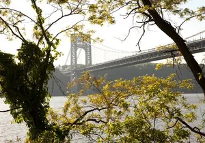 Flavors & Stories of Washington Heights