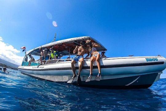 4 Hour Big Island Dolphin Watch Boat Tour, Snorkeling & BBQ Lunch