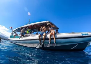 3 Hour Big Island Dolphin Watch Boat Tour, Snorkeling & BBQ Lunch