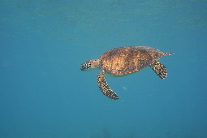 Panama City Scuba Diving Activity for Beginners