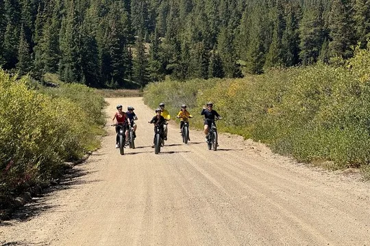 3-Hour E-Bike Tour of Trail of the Silver Kings (Old Mine Tour)