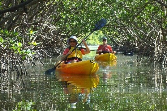 Half Day Kayak or SUP Rental (3hr) - Bunche Beach
