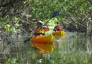 Half Day Kayak or SUP Rental (3hr) - Bunche Beach