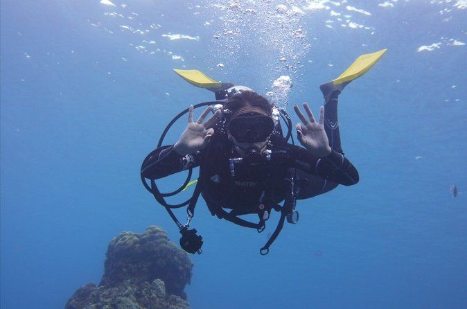Panama City Scuba Diving Activity for Beginners