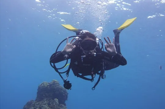 Panama City Scuba Diving Activity for Beginners